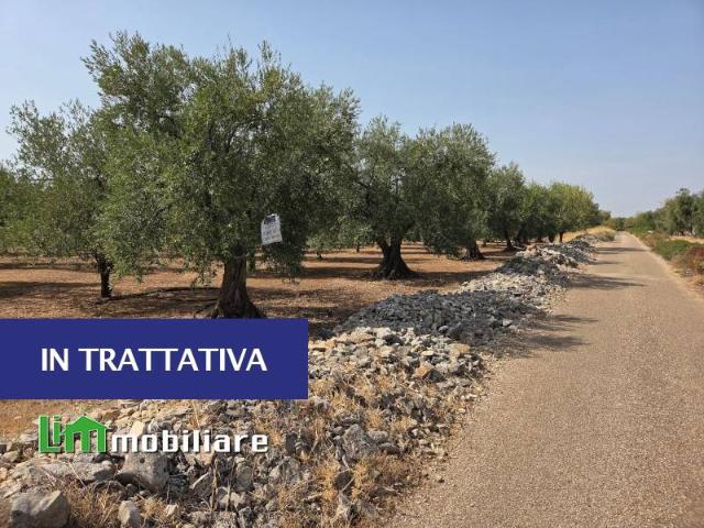 Terreno in vendita a Puglia, Bari
