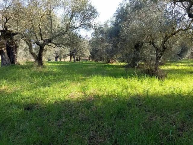 Terreno in vendita a Roma Capitale, Lazio