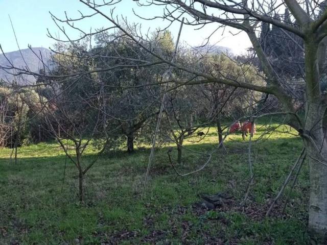 Terreno in vendita a Roma Capitale, Lazio