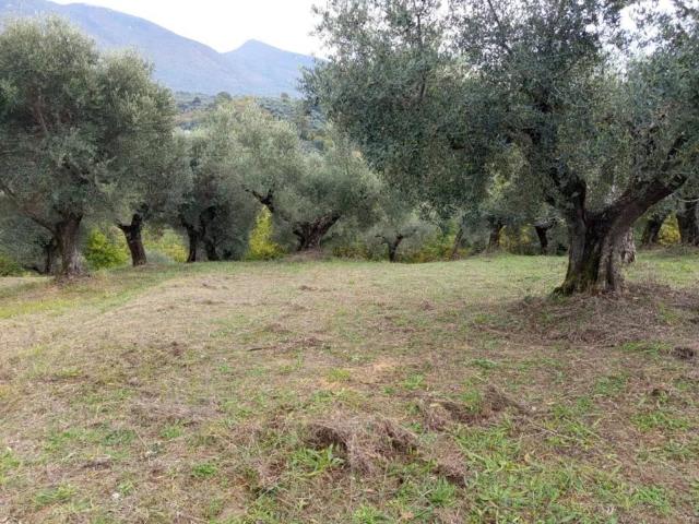 Terreno in vendita a Roma Capitale, Lazio