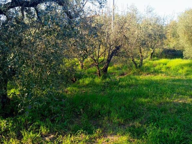Terreno in vendita a Roma Capitale, Lazio