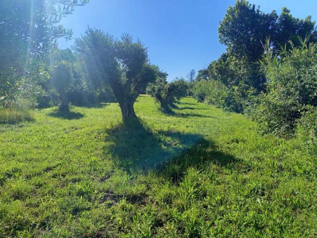 Terreno in vendita a Roma Capitale, Lazio