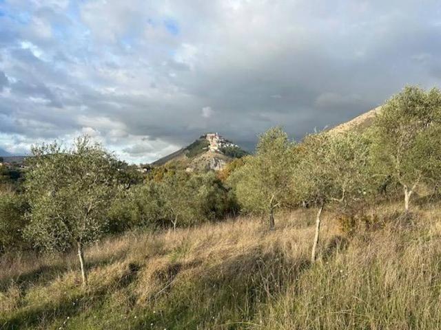 Terreno in vendita a Palomonte, Campania