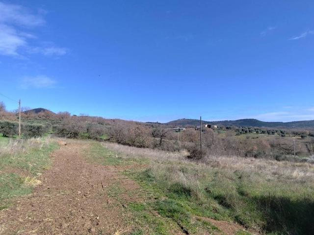Terreno in vendita a Panicale, Umbria