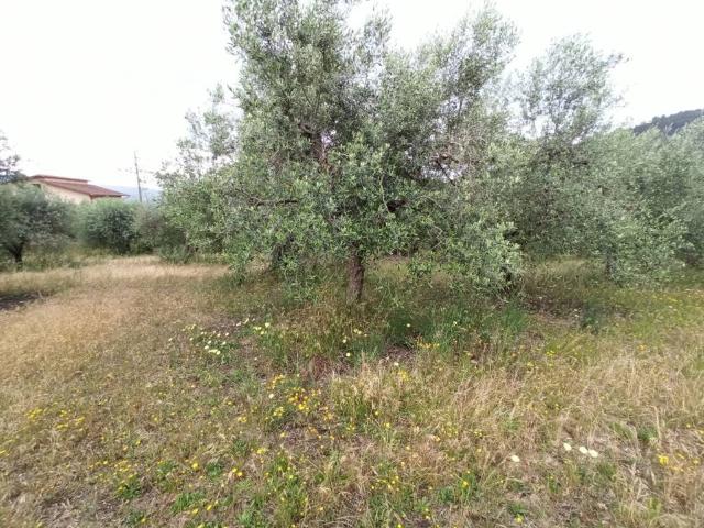 Terreno in vendita a Casalini, Panicale