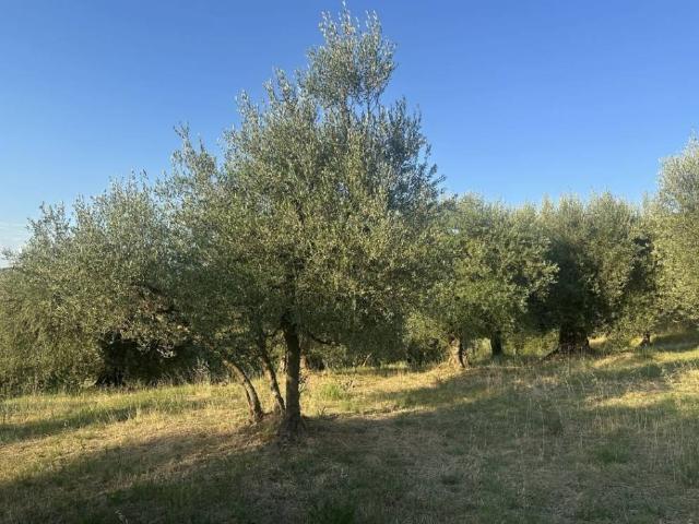 Terreno in vendita a Casalini, Panicale