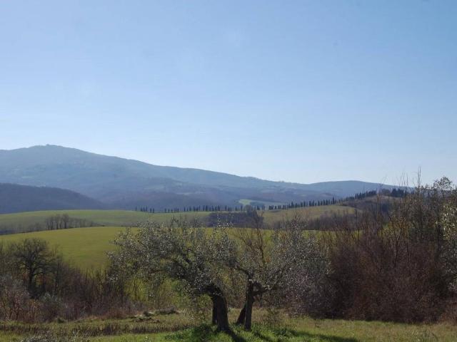 Terreno in vendita a Panicale, Umbria