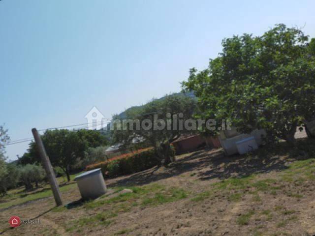 Terreno in vendita a Panicale, Umbria
