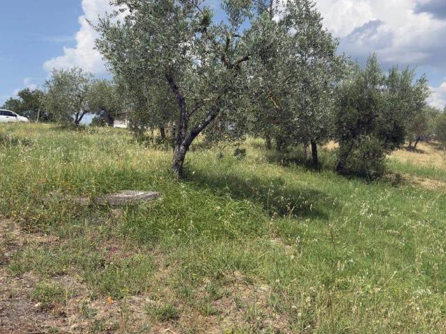 Terreno in vendita a Missiano, Panicale