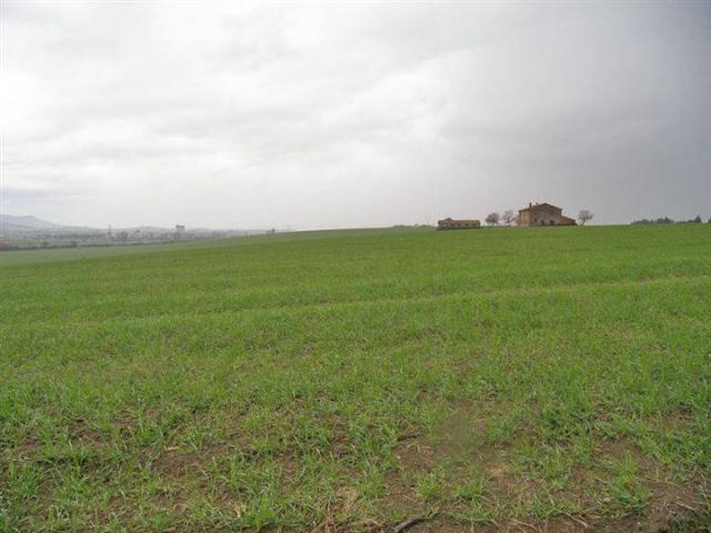 Terreno in vendita a Colgiordano, Panicale