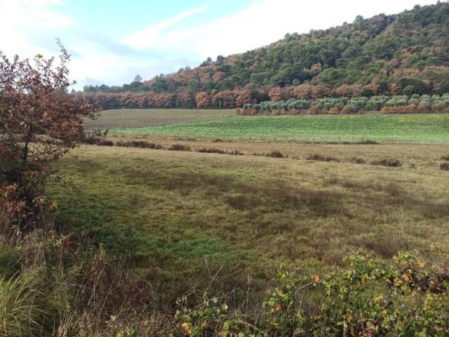 Terreno in vendita a Casalini, Panicale