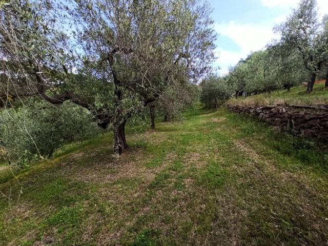 Terreno in vendita a Casalini, Panicale