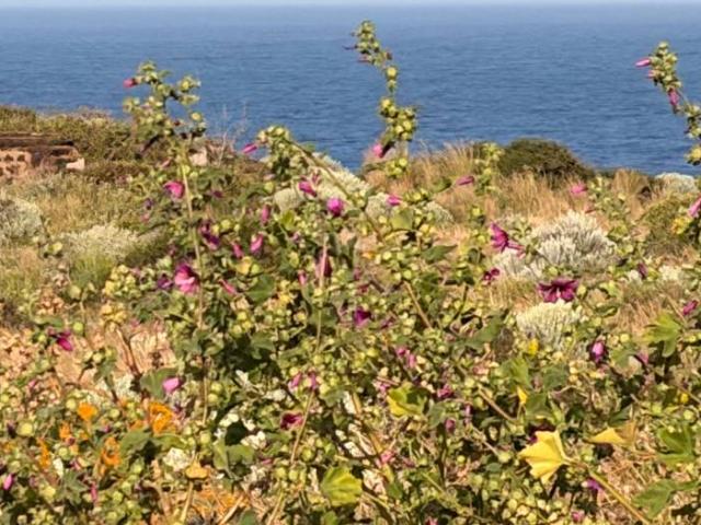 Terreno in vendita a Punta Tre Pietre, Pantelleria Aeroporto