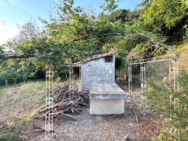 Terreno in vendita a Calabria, Cosenza
