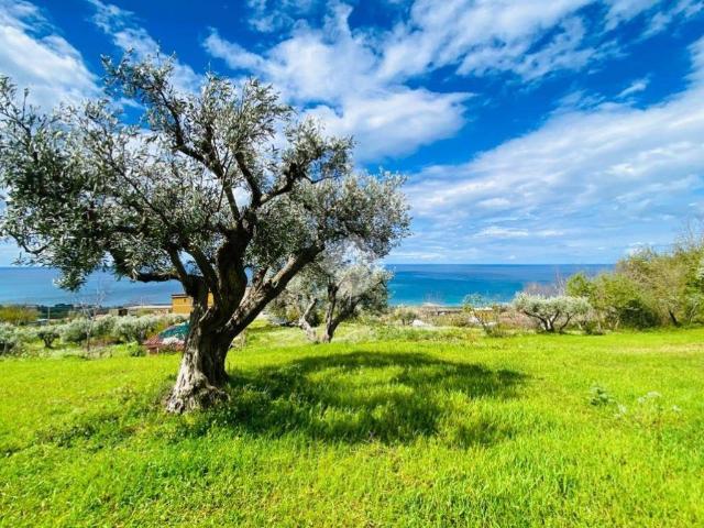 Terreno in vendita a Calabria, Cosenza