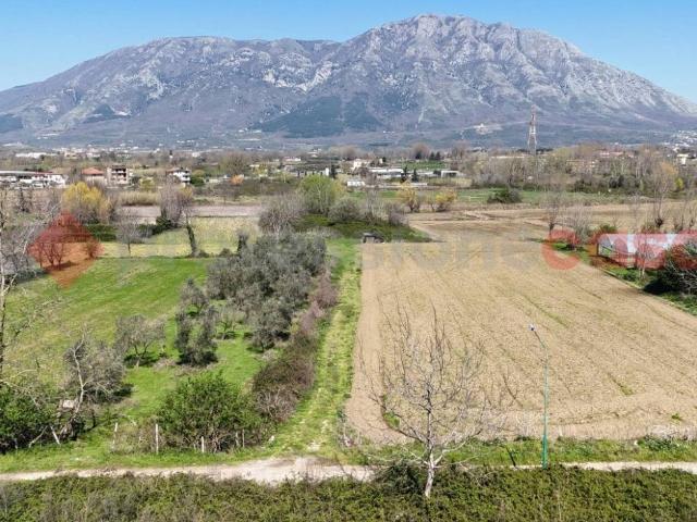 Terreno in vendita a Paolisi, Campania