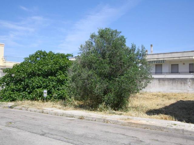 Terreno in vendita a Puglia, Lecce