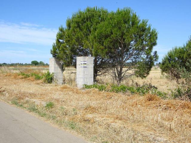 Terreno in vendita a Puglia, Lecce