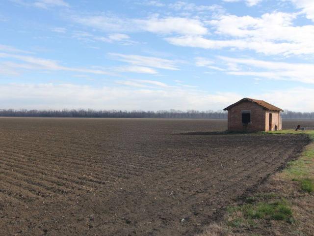 Terreno in vendita a Alberi di Vigatto, Sorbolo