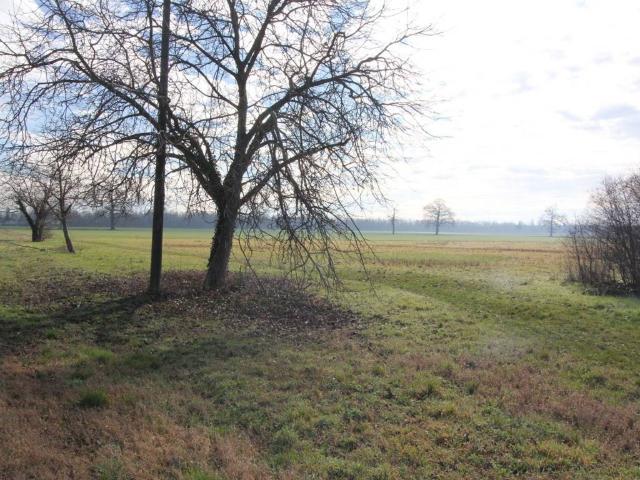 Terreno in vendita a Alberi di Vigatto, Sorbolo
