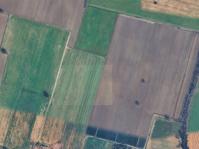 Terreno in vendita a Lubiana, Sorbolo