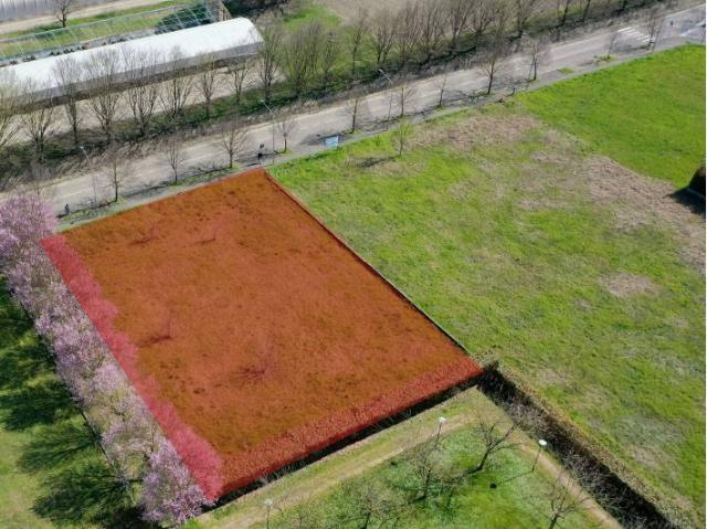 Terreno in vendita a Golese, Sorbolo
