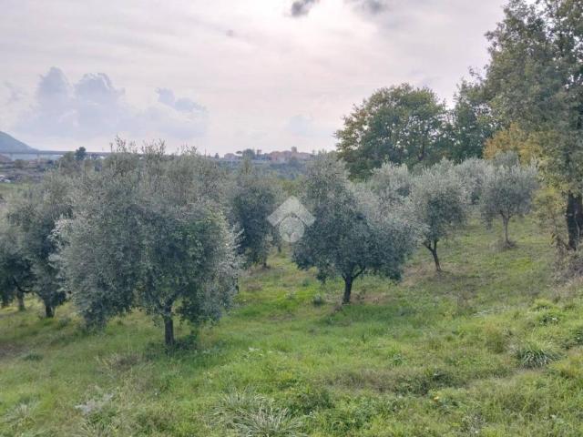 Terreno in vendita a San Potito Ultra, Campania