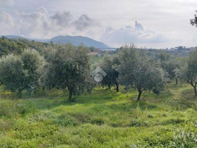 Terreno in vendita a San Potito Ultra, Campania