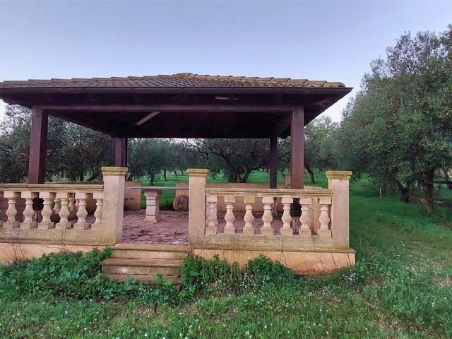 Terreno in vendita a Partanna, Sicilia