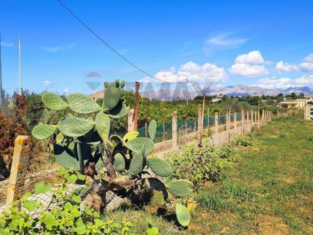 Terreno in vendita a Partinico, Sicilia