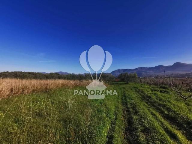 Terreno in vendita a Partinico, Sicilia