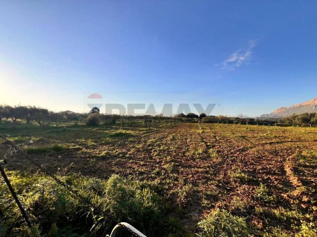 Terreno in vendita a Partinico, Sicilia
