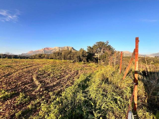 Terreno in vendita a Partinico, Sicilia