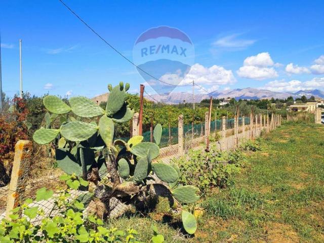 Terreno in vendita a Partinico, Sicilia