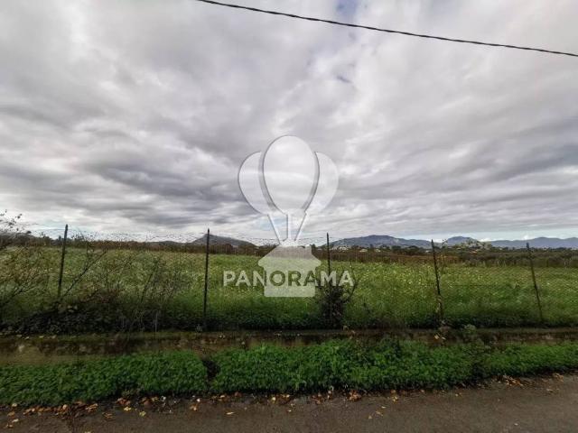 Terreno in vendita a Partinico, Sicilia