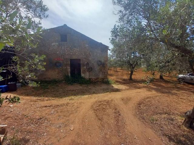 Terreno in vendita a Partinico, Sicilia