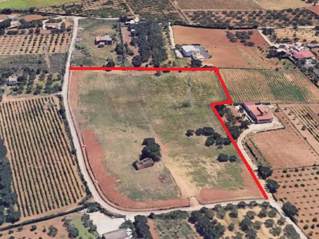 Terreno in vendita a Partinico, Sicilia