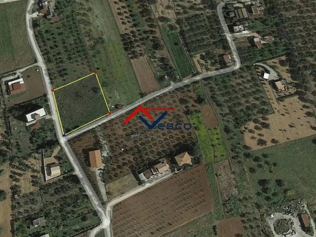 Terreno in vendita a Partinico, Sicilia