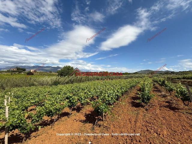 Terreno in vendita a Partinico, Sicilia