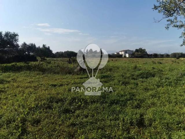 Terreno in vendita a Partinico, Sicilia