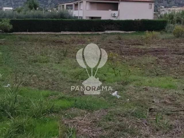 Terreno in vendita a Partinico, Sicilia