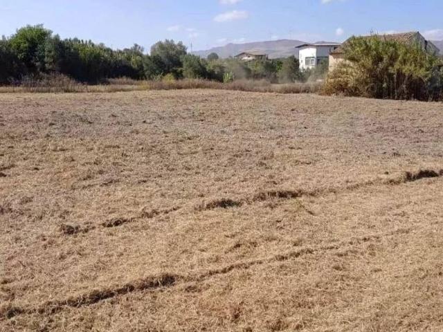 Terreno in vendita a Partinico, Sicilia