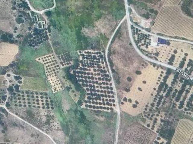Terreno in vendita a Partinico, Palermo