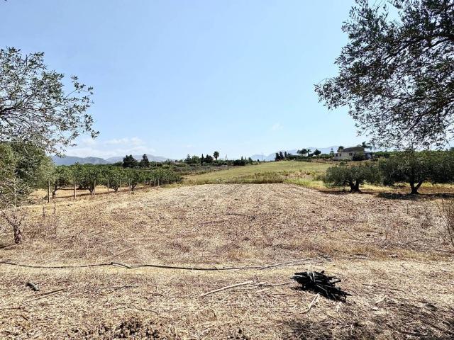 Terreno in vendita a Partinico, Sicilia