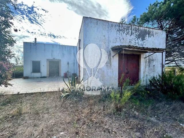 Terreno in vendita a Partinico, Sicilia