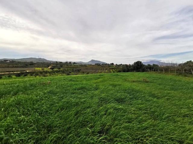 Terreno in vendita a Partinico, Sicilia