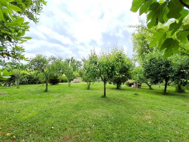 Terreno in vendita a Passignano Sul Trasimeno, Umbria