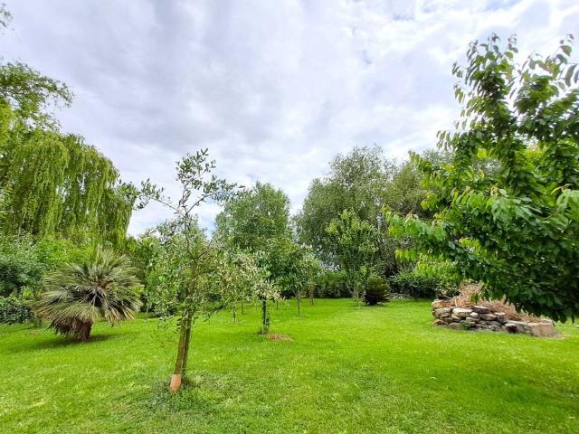 Terreno in vendita a Passignano Sul Trasimeno, Umbria