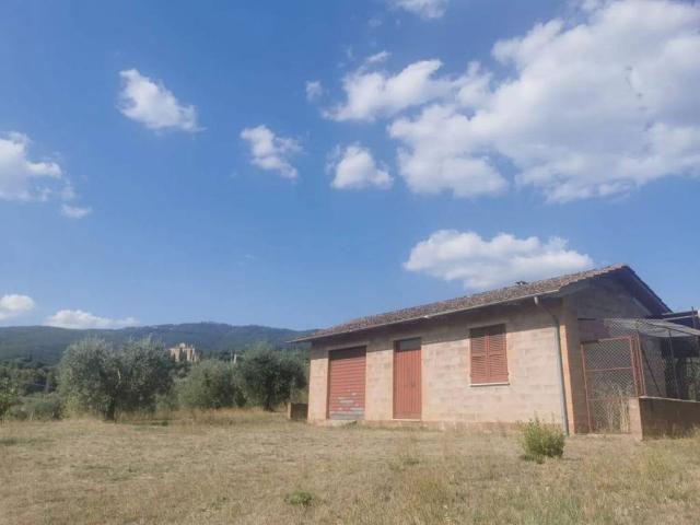 Terreno in vendita a Passignano Sul Trasimeno, Umbria