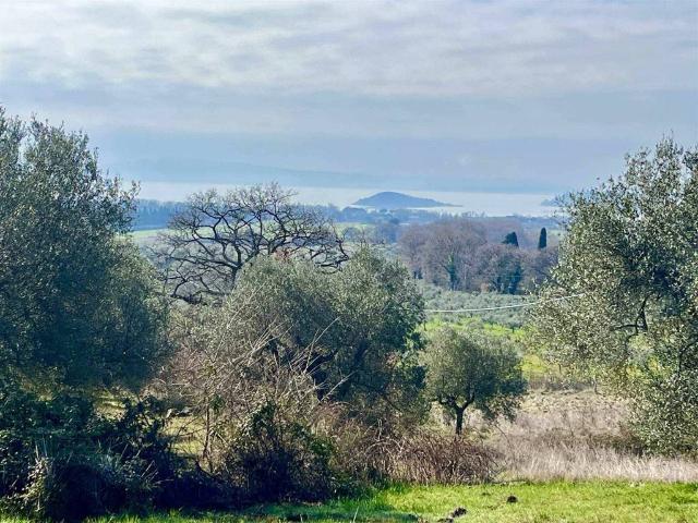 Terreno in vendita a Passignano Sul Trasimeno, Umbria